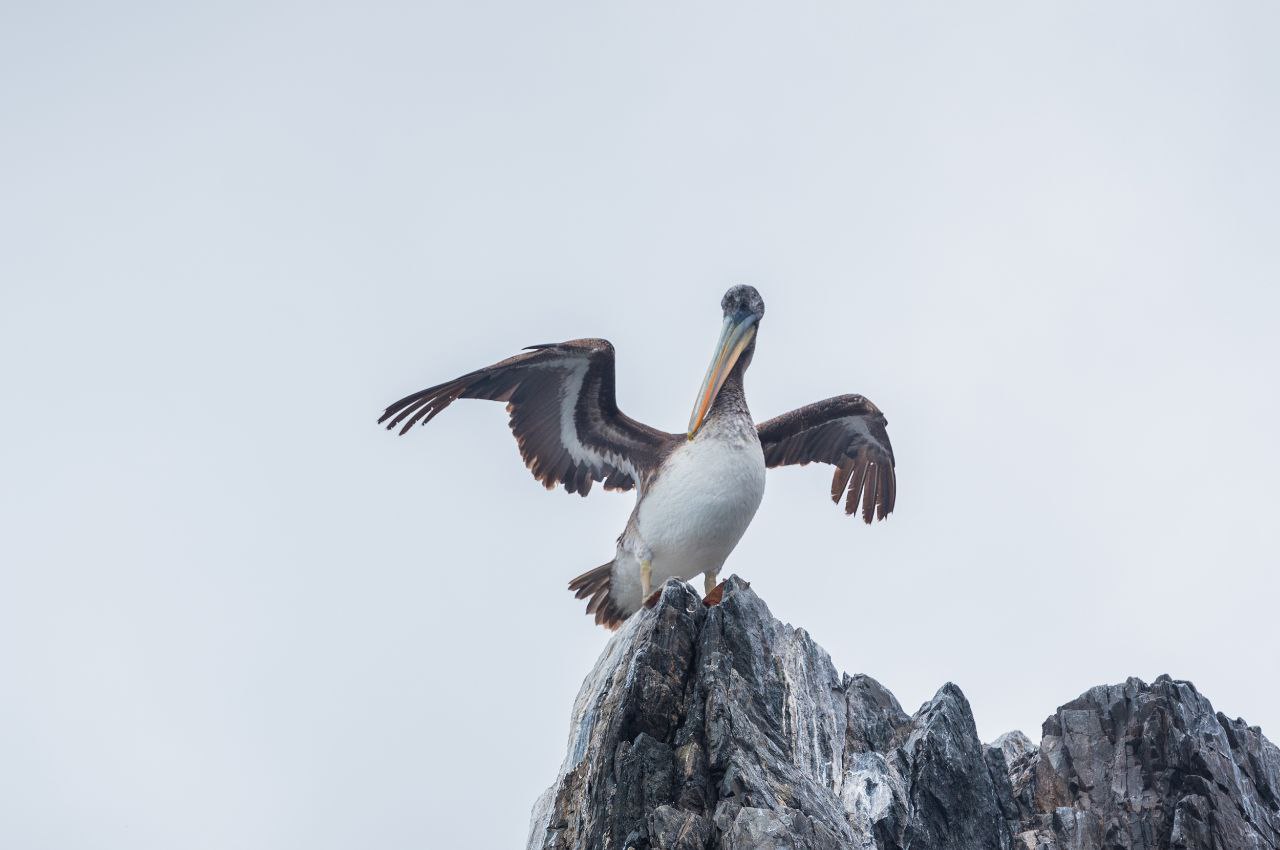 photo1647616652